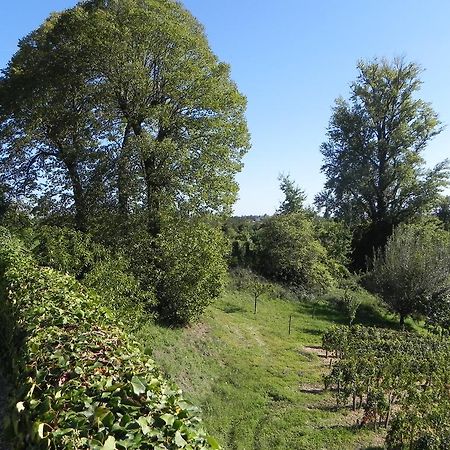 Chateau Belles Graves Bed & Breakfast Pomérols Dış mekan fotoğraf