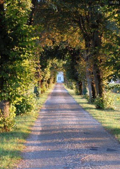 Chateau Belles Graves Bed & Breakfast Pomérols Dış mekan fotoğraf