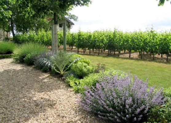 Chateau Belles Graves Bed & Breakfast Pomérols Dış mekan fotoğraf