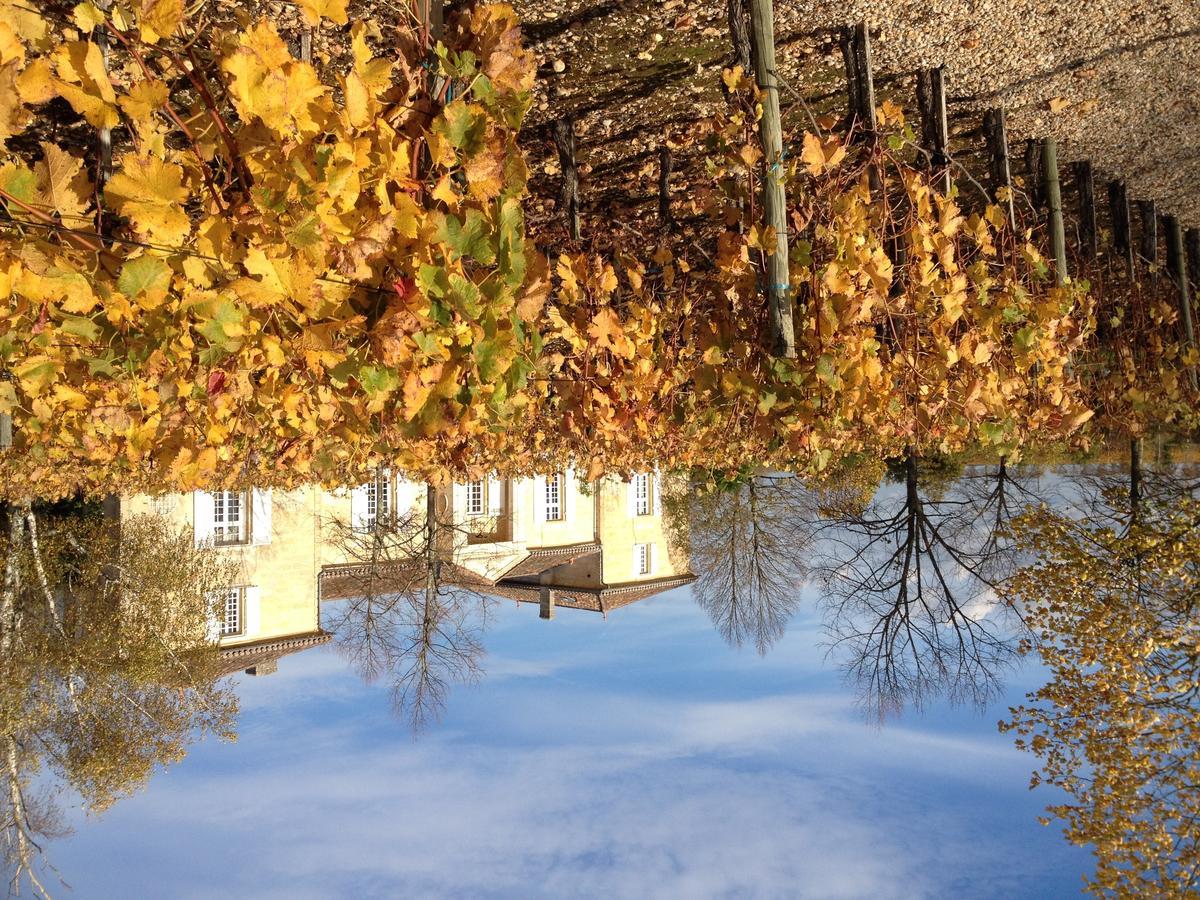 Chateau Belles Graves Bed & Breakfast Pomérols Dış mekan fotoğraf